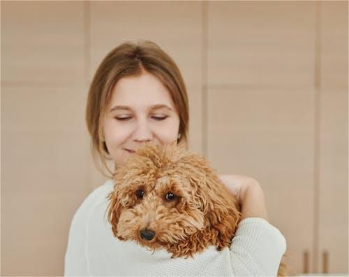 Как да подготвя кучето си за раждането?